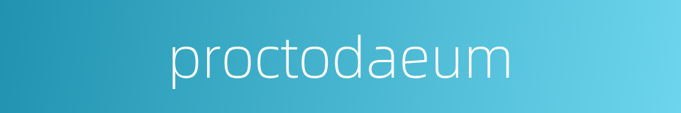 proctodaeum的同义词