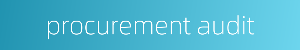 procurement audit的同义词