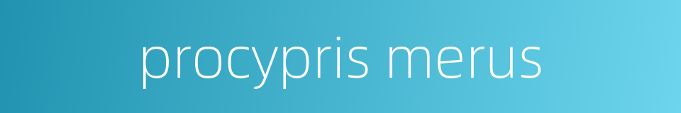 procypris merus的同义词