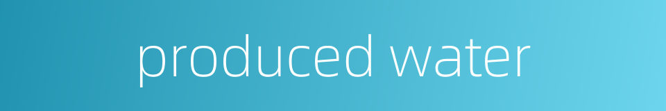 produced water的同义词