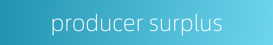 producer surplus的同义词