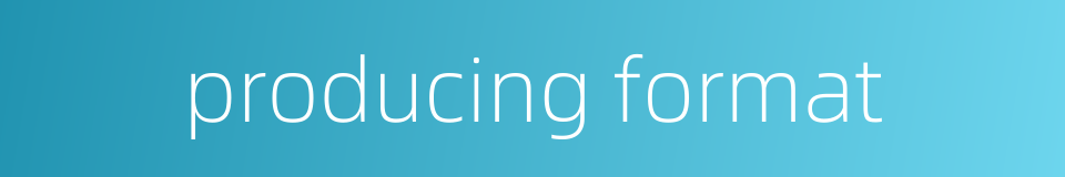 producing format的同义词