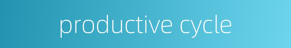 productive cycle的同义词