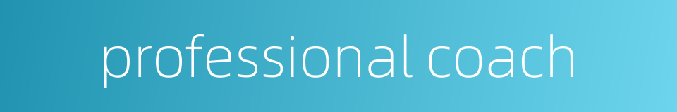 professional coach的同义词