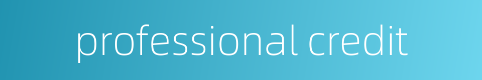 professional credit的同义词