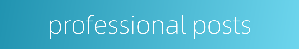 professional posts的同义词