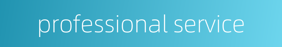 professional service的同义词