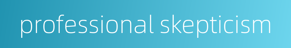 professional skepticism的同义词