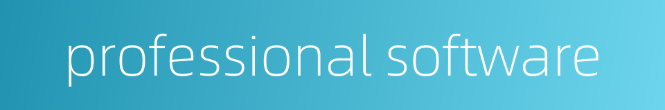 professional software的同义词