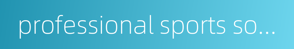 professional sports socks的同义词