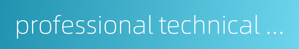 professional technical capability的同义词