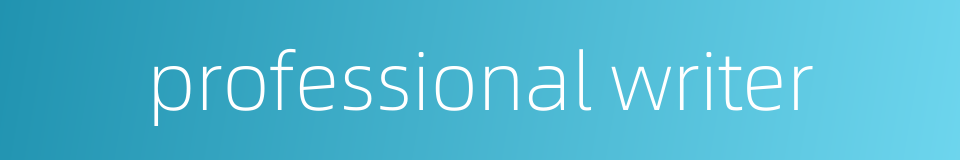 professional writer的同义词