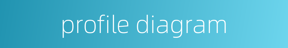 profile diagram的同义词