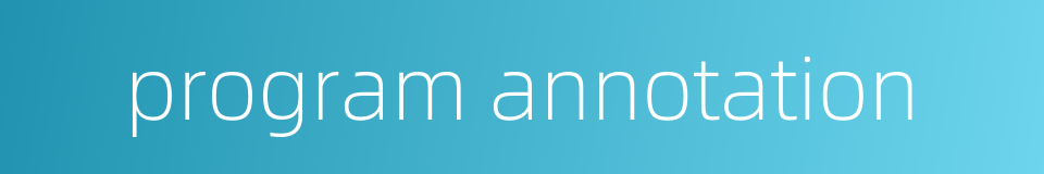 program annotation的同义词