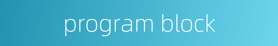 program block的同义词