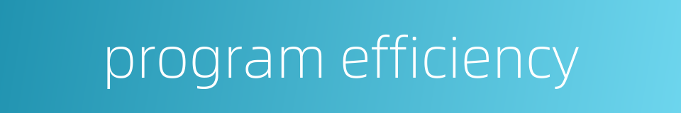 program efficiency的同义词