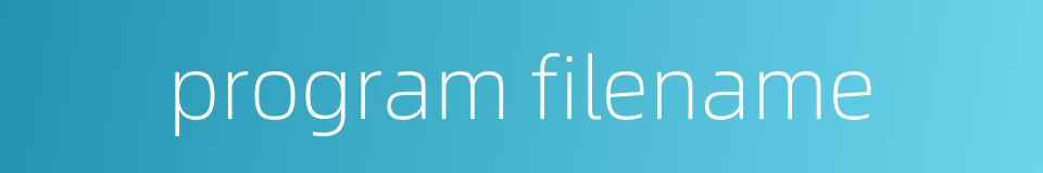 program filename的同义词