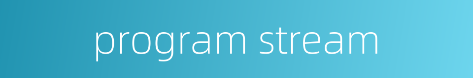 program stream的同义词