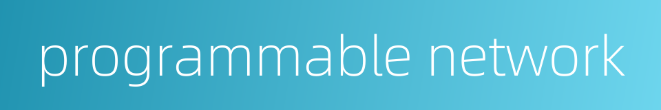 programmable network的同义词