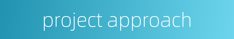 project approach的同义词