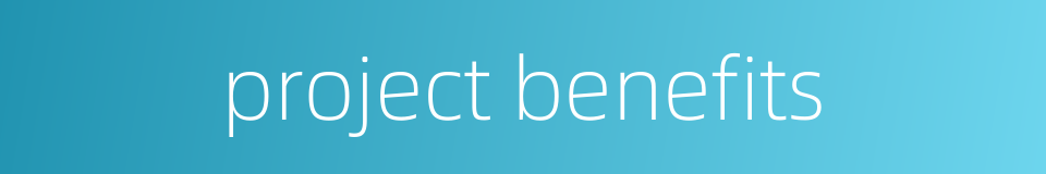 project benefits的同义词