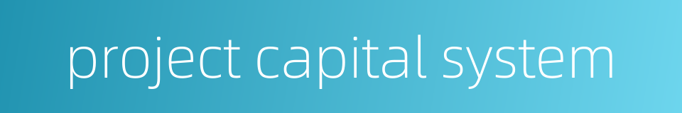 project capital system的同义词