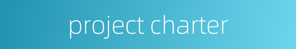 project charter的同义词