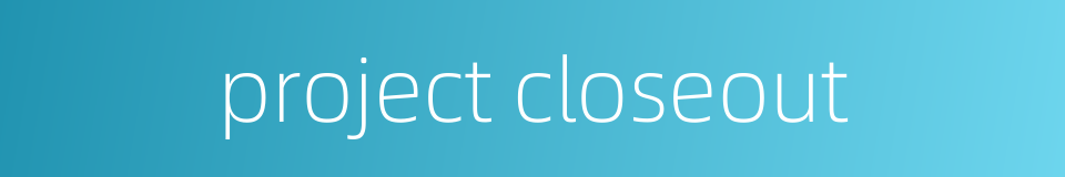 project closeout的同义词