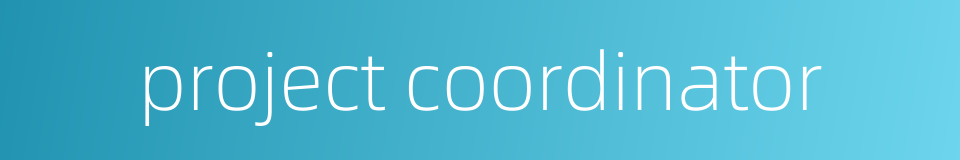 project coordinator的同义词