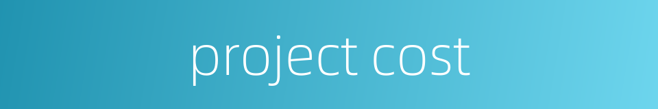project cost的同义词