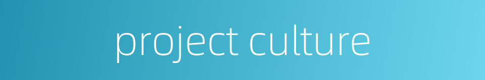 project culture的同义词