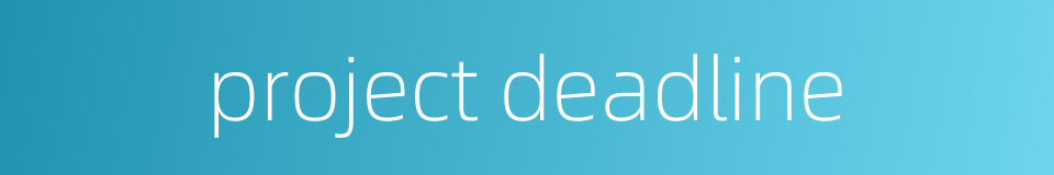 project deadline的同义词