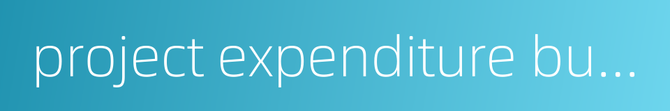 project expenditure budget的同义词