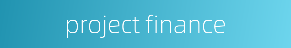 project finance的同义词