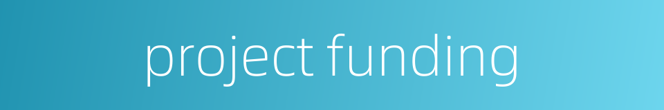 project funding的同义词