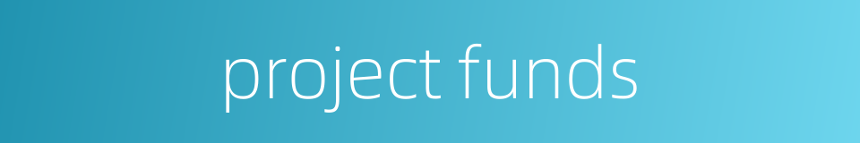 project funds的同义词