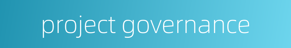 project governance的同义词
