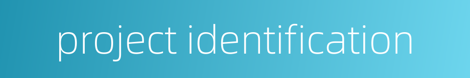 project identification的同义词