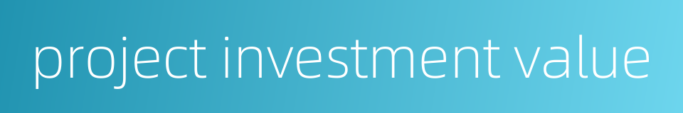 project investment value的同义词