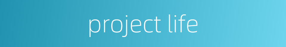 project life的同义词