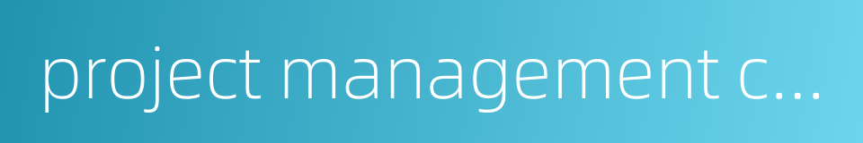 project management competence的同义词