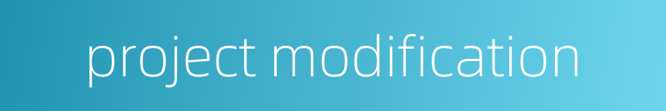 project modification的同义词