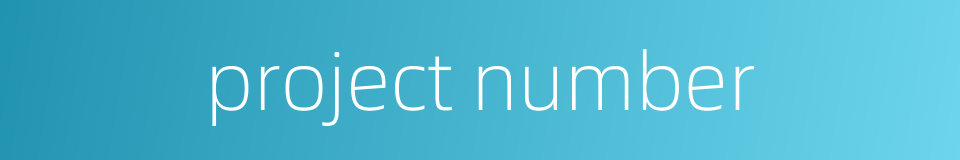 project number的同义词