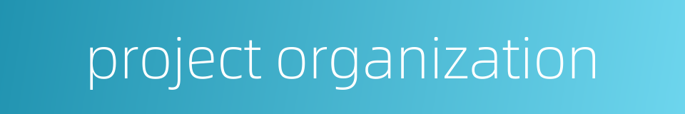 project organization的同义词