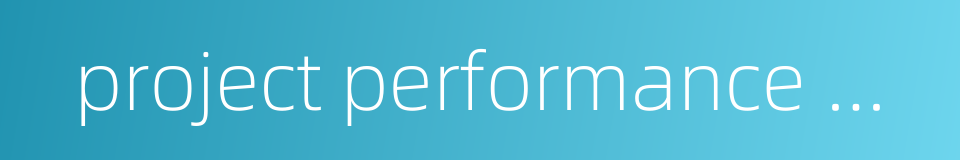 project performance management的同义词