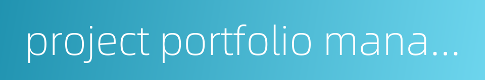 project portfolio management的同义词