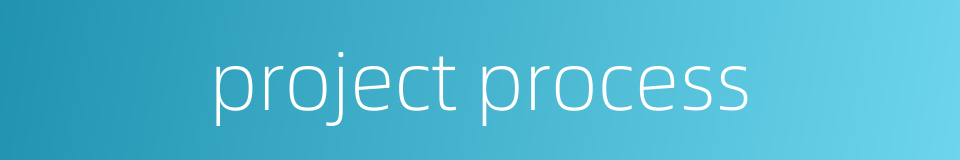 project process的同义词
