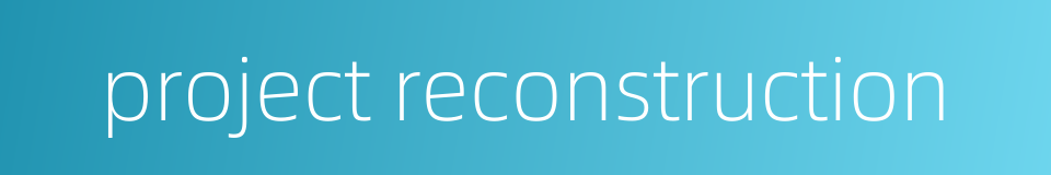 project reconstruction的同义词