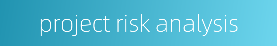 project risk analysis的同义词