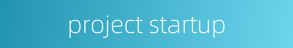 project startup的同义词